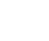 ESTILOTE 1